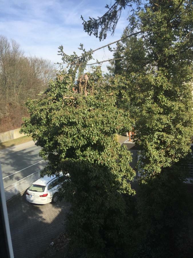 Apartment Rheingold Bayreuth Buitenkant foto